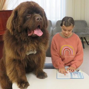 Чтение собакам